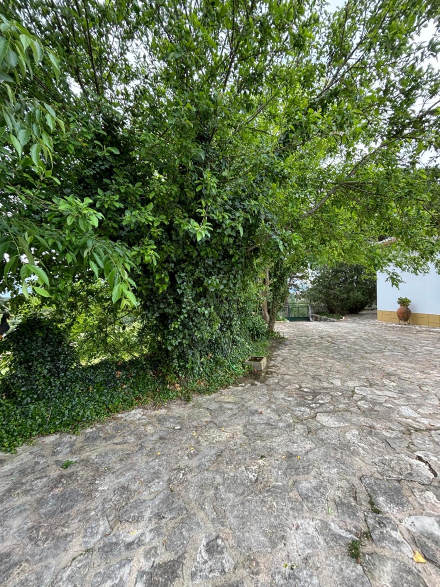 Casa Da Nogueira Villa Tomar Luaran gambar