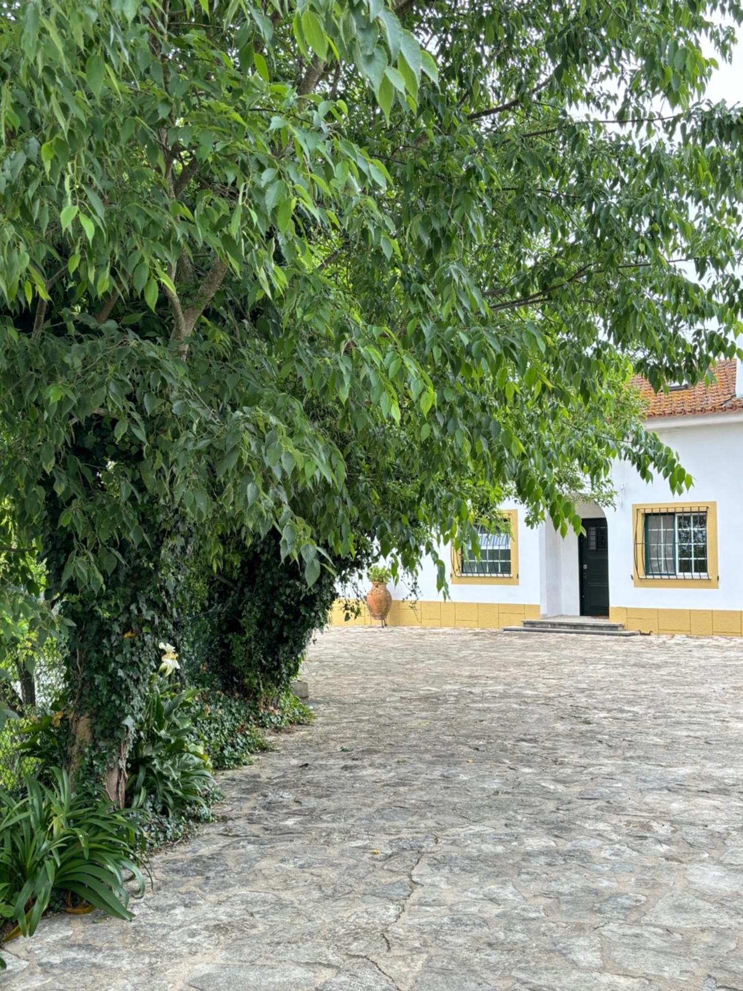 Casa Da Nogueira Villa Tomar Luaran gambar